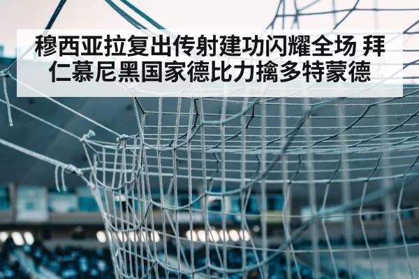 soccer goal net